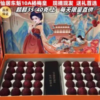 仙居东魁杨梅鲜果新鲜水果现摘现发荸荠当季时令孕妇浙江大杨梅    1箱