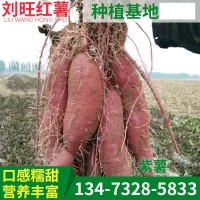 基地供应 各地特大紫薯种植基地 供应 紫薯 紫薯紫罗兰     2吨
