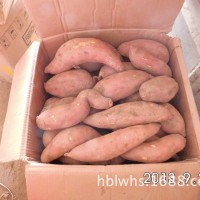 红心红薯批发 雄县新鲜红薯 好红心地瓜 系列齐全    2吨