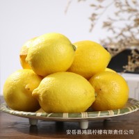一件代发黄柠檬鲜果尤力克黄柠檬安岳柠檬水果柠檬     100斤