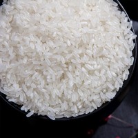 正宗五常大米稻花香米5kg10斤真空礼盒装东北新米厂家批发代发     2盒