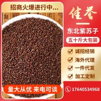 东北紫苏子灰苏子熟紫苏子苏子月饼馅料烧烤料厂家批发现货散装    2件