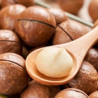 【厂家代发】夏威夷果500g大颗粒袋装奶香味坚果炒货零食送开口器