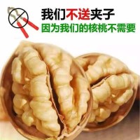 【厂家代发】新疆185纸皮核桃批发500g 薄皮大核桃阿克苏手捏纸皮   2包