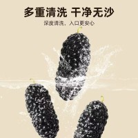 【新货上市】新疆黑桑葚干500g新鲜黑桑椹子泡水新疆水果干蜜饯