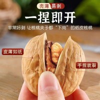 批发新疆纸皮核桃新货生核桃原味烤熟核桃正宗阿克苏薄皮儿童坚果