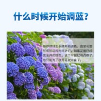 绣球花调蓝剂调色硫酸铝转色剂上色变蓝地栽无尽夏调色园艺250克  1瓶