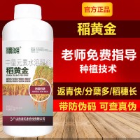 1000克水稻大米复合肥叶面肥稻黄金壮秧剂分蘖灌浆中量元素有机水   12瓶