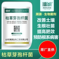 溯源生物地衣枯草芽孢菌杆菌农用进口菌种果树烟草大包装微生物菌   20袋