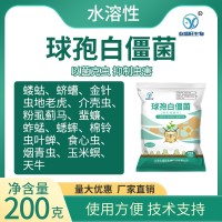 业盛旺水溶性球孢白僵菌粉剂松毛虫蛴螬菜青虫菌剂高效生物菌剂   1袋