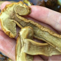 牛肝菌 美味牛肝 干货 白牛肝 青川特产农家户外干批发包邮野生   1件