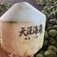 【品质】椰青海南椰青去皮新鲜椰子海南文昌2/9个装果王代发免邮    2件