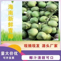 海南椰青海南新鲜椰子3-5斤椰子代发孕妇水果应季厂家现摘现发   2件