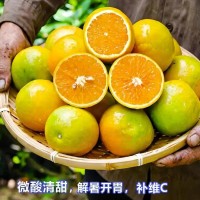 湖北秭归夏橙新鲜橙子现摘现发奶茶果茶店榨汁坏果包赔   1箱