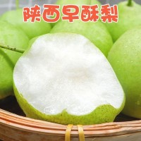 2026当季陕西早酥梨青皮梨子酥脆多汁新鲜时令孕妇水果非砀山酥梨   1箱