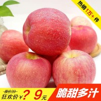 现货陕西红富士膜袋苹果新鲜水果一整箱高山丑苹果批发产地直供   1箱