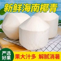 海南椰青新鲜椰子9个装当季孕妇水果椰香皇去皮香水椰子整箱包邮   1箱