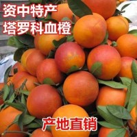 正宗四川塔罗科血橙玫瑰血橙红橙子血丝新鲜水果红心果冻橙10斤整    1件