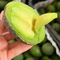 现摘云南哈斯牛油果大果整箱包邮牛油果新鲜水果当季宝宝辅食代发   1斤