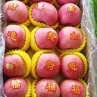 出口红富士苹果 不打蜡苹果可贴字 新鲜整箱当季脆甜 富士苹果   10吨