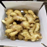 出口级老姜小黄姜新鲜干姜东南亚餐饮市场跨境批发工厂直供大姜   1000吨