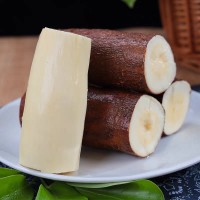 广西新鲜华南9号黄心木薯 粉糯香甜黄肉木薯奶茶店糖水店专用应季  1箱