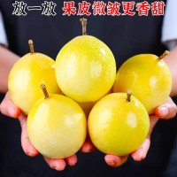 广西钦蜜9号黄金百香果鸡蛋果新鲜热带应季孕妇水果大果酱批发   1箱