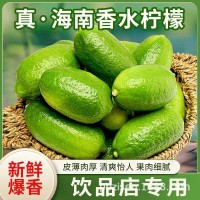 海南香水柠檬新鲜水果无籽青柠檬子弹头长条正宗一级果奶茶店专用    1箱