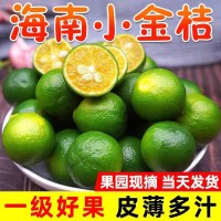 海南小青桔金桔新鲜青柠檬青柑皮薄多汁水果包邮5斤金橘迷你   1箱
