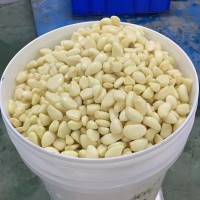 山东工厂直发去皮蒜米可开自产自销去皮新鲜蒜米通货保鲜蒜米  2000件