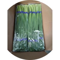 【自产自销】250g小包装去头去尾脆嫩蒜毫蒜苗蒜薹杂交苍山白帽蒜   2000件