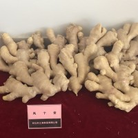 有机风干姜   2吨