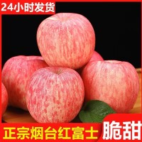 山东红富士苹果新鲜水果整箱10斤包邮脆甜大果丑苹果冰糖心   1件