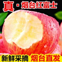 【全年供应】山东烟台红富士苹果生鲜水果新鲜应季脆甜整箱批发  1斤