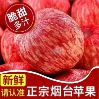 【淡雪条纹】正宗烟台苹果栖霞红富士脆甜新鲜水果整箱产地直发   1件