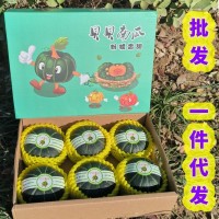 迷你贝贝南瓜惠和一号进口种源贝贝小宝宝辅食正宗贝贝南瓜礼盒   1件