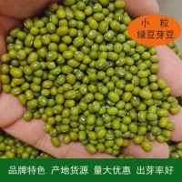 至盈黄金豆新粮现货产地批发出芽小绿豆小明绿芽豆芽菜种50斤商用   1件