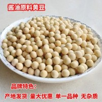 至盈黄金豆新粮现货批发东北大豆非转基因酱油专用黄豆100斤商用   1件
