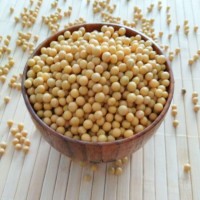 至盈黄金豆新粮现货产地东北非转基因高蛋白黄豆44%杂粮100斤商用   1件