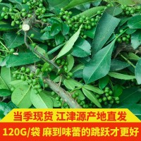 四川特产新鲜青花椒食用特麻重庆江津九叶青藤椒120g麻椒调味品   2份