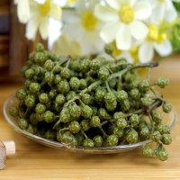 花椒批发江津九叶青保鲜青花椒彬哥300g新鲜特麻火锅青花椒鱼调味   5袋