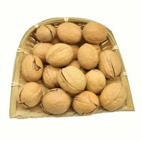 当季新货新疆特产阿克苏核桃散装薄皮大核桃薄皮新核桃一件代发