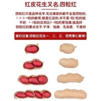 当季新货带壳四粒红东北特产红皮带壳农家自产晾晒干花生一件代发 2袋