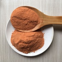 甘梅撒料 鸡排撒料鸡排粉 零食撒粉撒料 甘梅粉 烧烤撒料多味