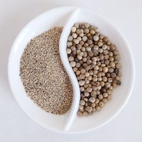 乐畅白胡椒碎 白胡椒 白胡椒粉 胡椒粉 胡椒调味香料调料大全 10千克