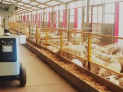 智能化畜牧机械如何解决传统养殖痛点