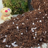 营养土花卉绿植通用型花土有机透气无菌家用盆栽多肉种花种菜用土
