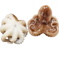 新鲜八爪鱼二去弹脆小章鱼鲜活速冻短腿迷你章鱼鱿鱼墨鱼海鲜食材 2袋