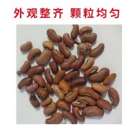 特长豆角摘不败豇豆种子春秋庭院田园易种蔬菜绿条四季豆种籽  50袋