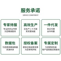 西兰苔一号种子种籽西兰花芥蓝芥兰菜心西蓝苔西蓝花苗蔬菜种孑苗 50袋